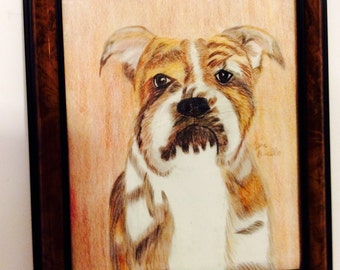 English bulldog art, vintage framed dog art, brindle bulldog art, print of original, small shop, ooak brown and beige, doggy art,
