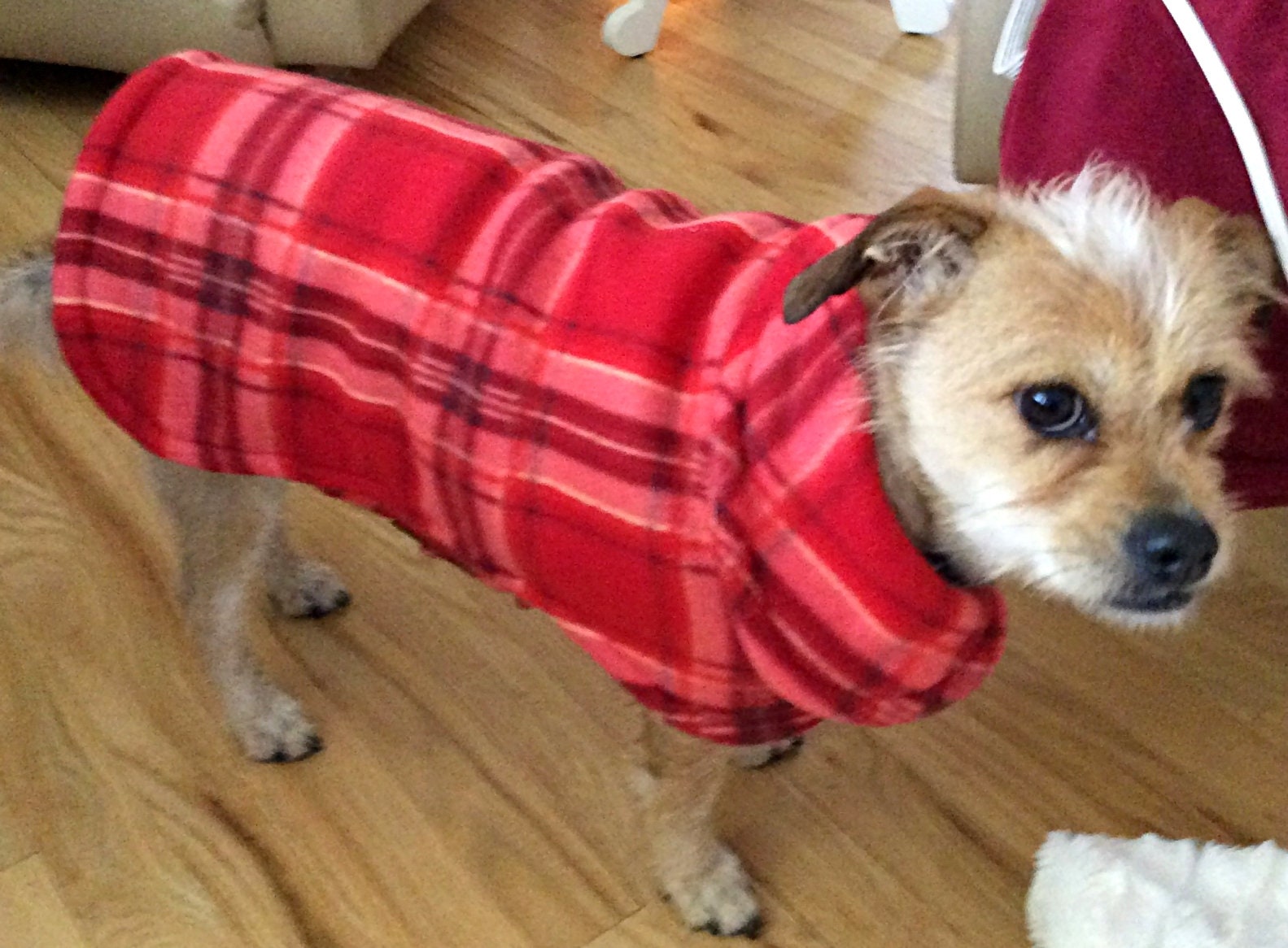 Custom Dog or Cat Fleece Sweater Coat Jacket Made With Your Etsy
