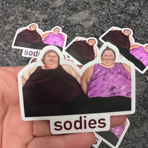 Sodies vinyl sticker or magnet (Matte Finish)
