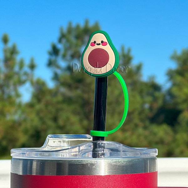 Watermelon Stanley Straw Cover Etsy