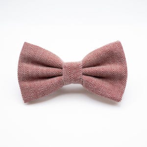 Puede incluir: Una pajarita de espiga roja y blanca.