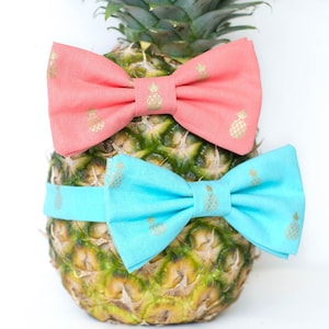 May include: Two bow ties, one pink and one blue, with a pineapple pattern in gold. The bow ties are on top of a pineapple.