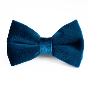 May include: A teal blue velvet bow tie.