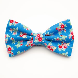 May include: A blue bow tie with a floral pattern featuring red, pink, and white flowers.