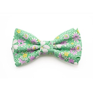 May include: A light green bow tie with a floral pattern. The bow tie features a repeating pattern of white, purple, and yellow flowers on a light green background. The bow tie is a classic accessory.