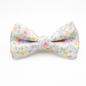 May include: A light green bow tie with a floral pattern featuring pink, yellow, and purple flowers.