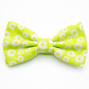 May include: A green bow tie with a white daisy pattern.