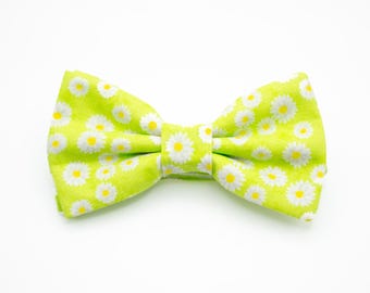 bright lime green daisy bow tie, mens bow ties floral, tiny white flower bow ties, mini daisies, pre tied, neon floral bowties, gift for him