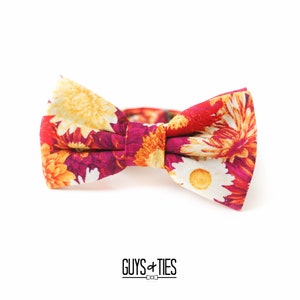 May include: A floral bow tie with a red, orange, yellow, and white pattern. The bow tie is made of fabric and has a classic bow shape.