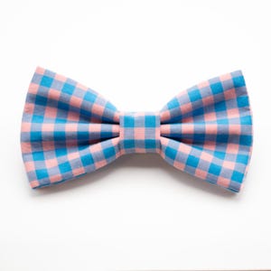 May include: A blue and pink gingham bow tie.