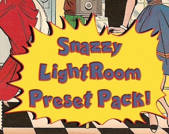 Retro Pinup and Boudoir LightRoom Presets for Photographers