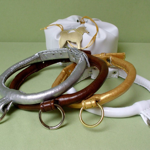 Japanese Akita Inu show collar