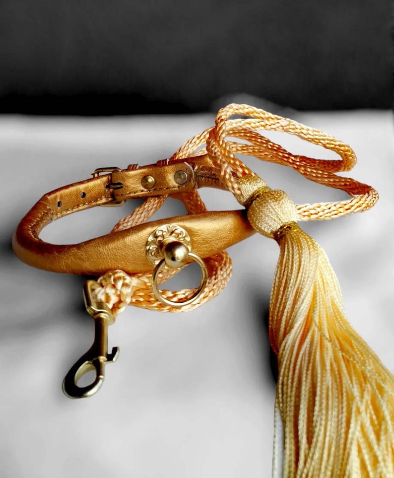 Traditional Japanese Akita Collar and Leash for dog show