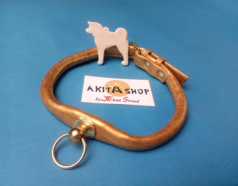 Akita Inu show COLLAR in Japanese style!!!