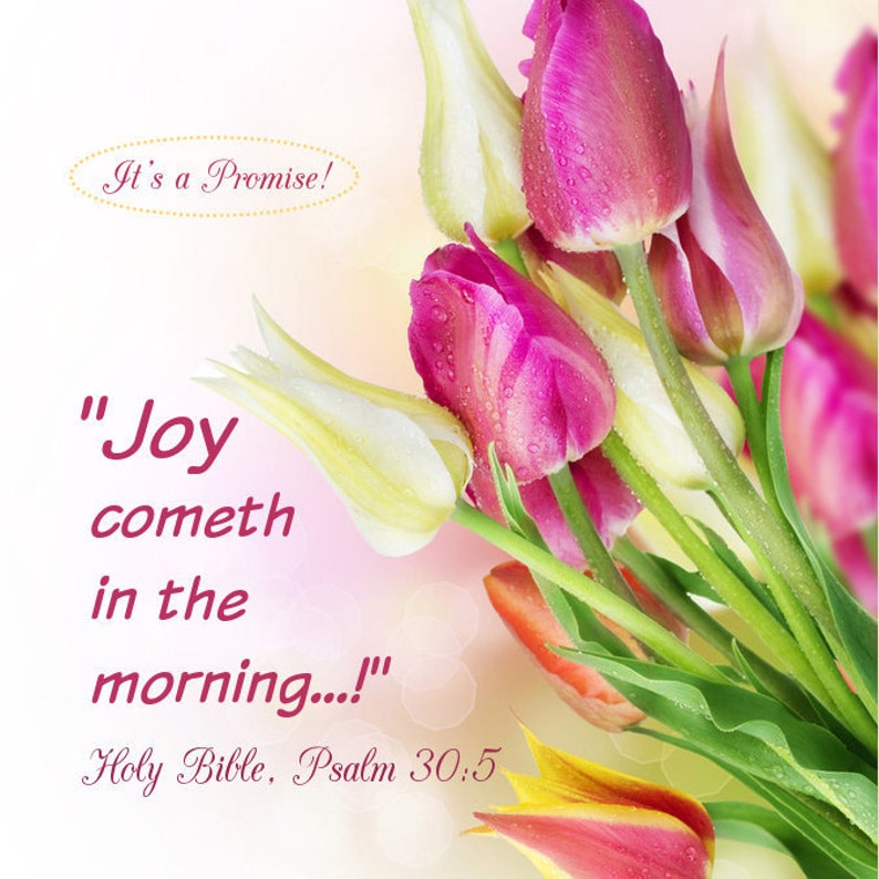 Scripture Stickers, Pink Tulips, Joy cometh in the morning... Psalm 30:5 Holy Bible, Square 2 x 2 image 1