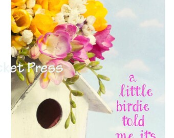 Può includere: Una casetta per uccelli bianca con un bouquet di fiori gialli e rosa in cima. Il testo "a little birdie told me it's your birthday" è scritto in rosa su uno sfondo blu.