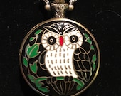 Owl Design Bronze Custom Fashion Pillbox Medicine Tablet Holder Case for Pocket or Purse Necklace included, a belt clip chain is extra.