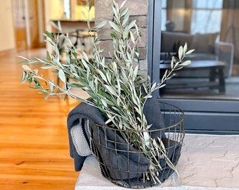 Fresh Cut Olive Branch Stems: Greenery Party Decor