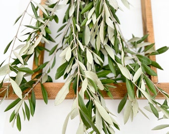 Fresh Cut Olive Branch Stems: Wedding Foliage Greenery