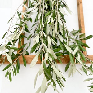 May include: A bunch of olive branches with green and silver leaves hanging from a wooden frame against a white background.