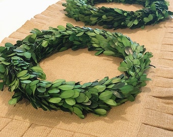 Preserved Boxwood Mini Wreath