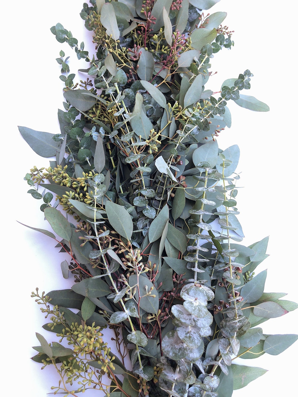 Fresh Eucalyptus Garland A Variety of Real Greenery Garland Etsy