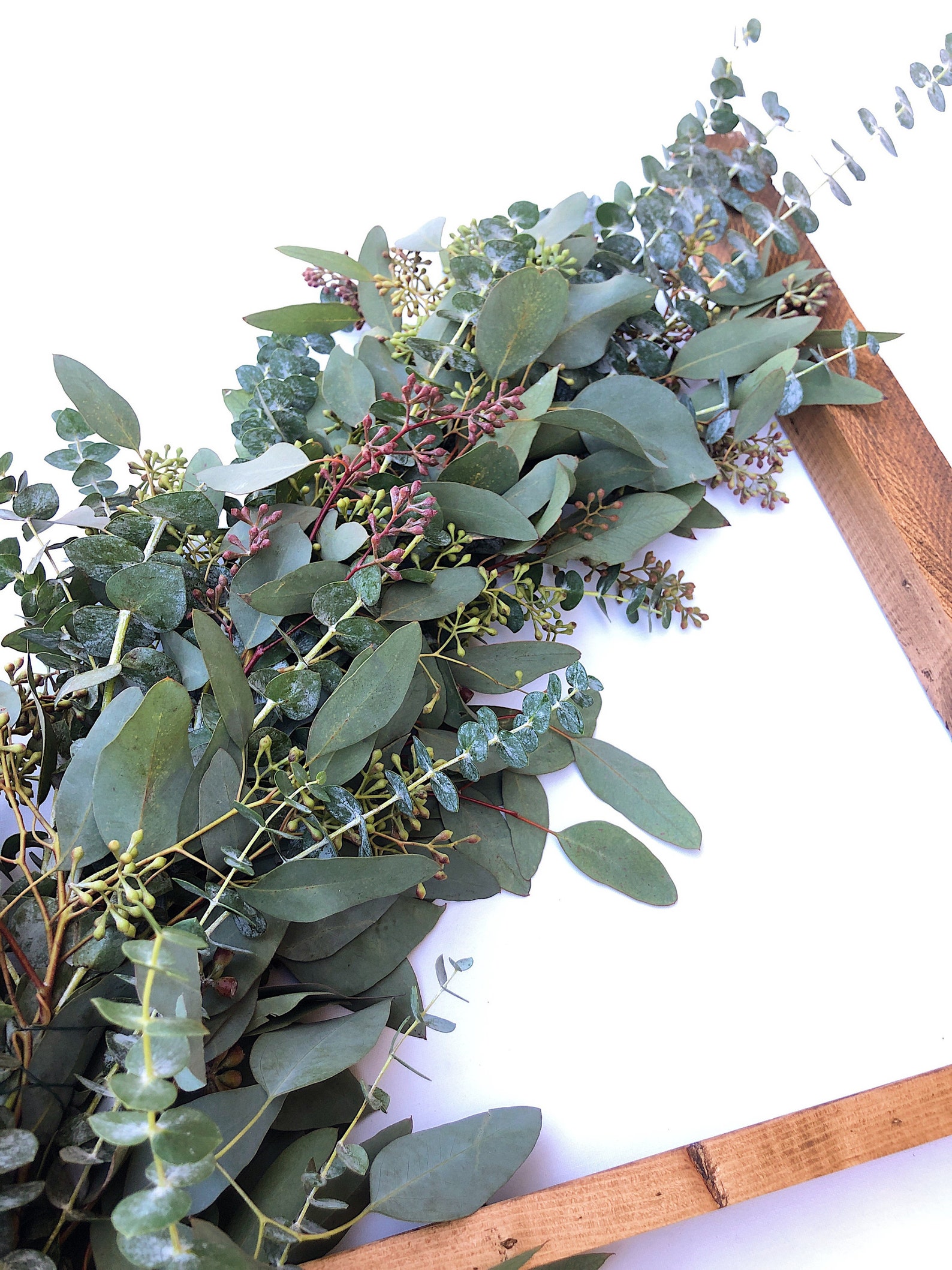 Fresh Eucalyptus Garland Seeded Eucalyptus Wedding Table Etsy
