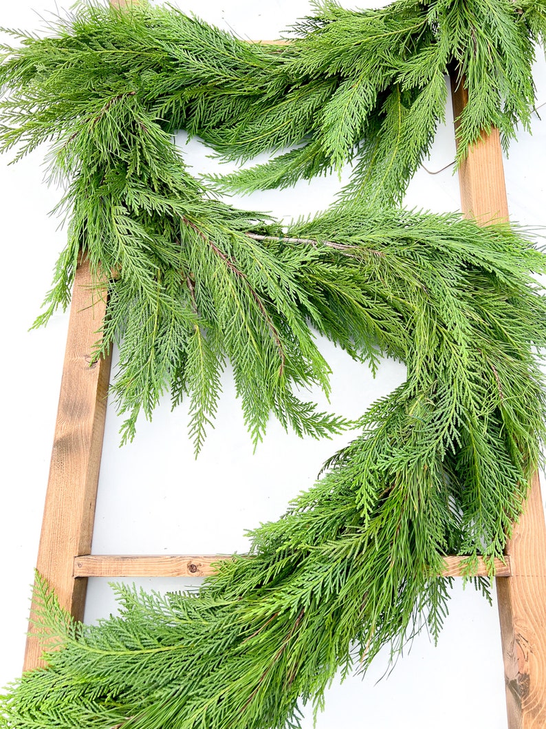 Leyland Cypress and Pine Garland Fresh Cypress and Pine Etsy
