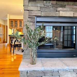 May include: A stone fireplace with a black glass door and a vase of green branches on the hearth.