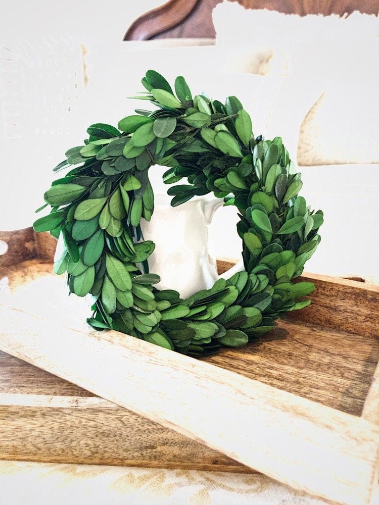CHOOSE 6 8 or 10 Preserved Farmhouse Boxwood Mini Candle Ring Greenery  Wreath 