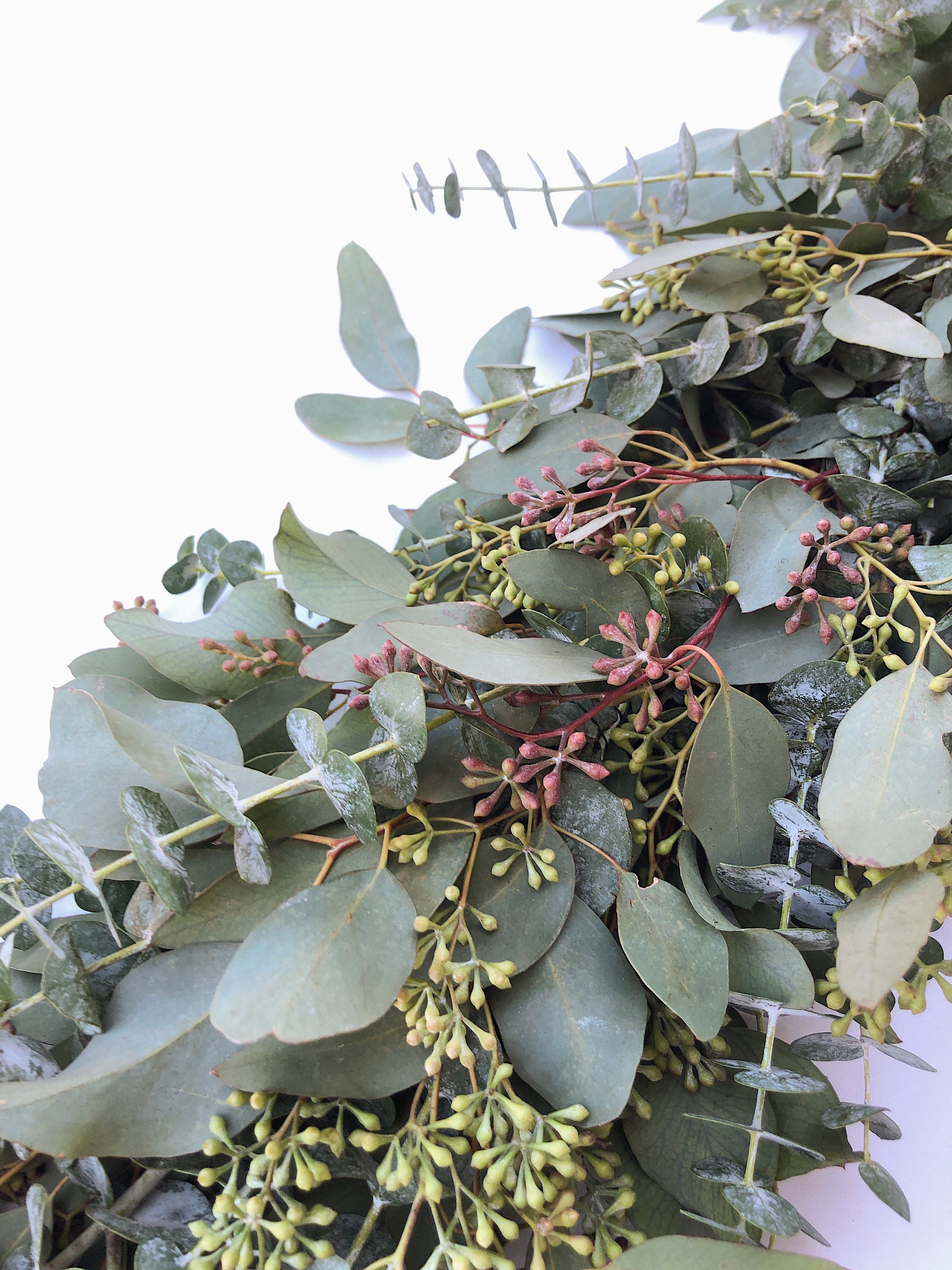 Fresh Eucalyptus Garland A Variety of Real Greenery Garland Etsy