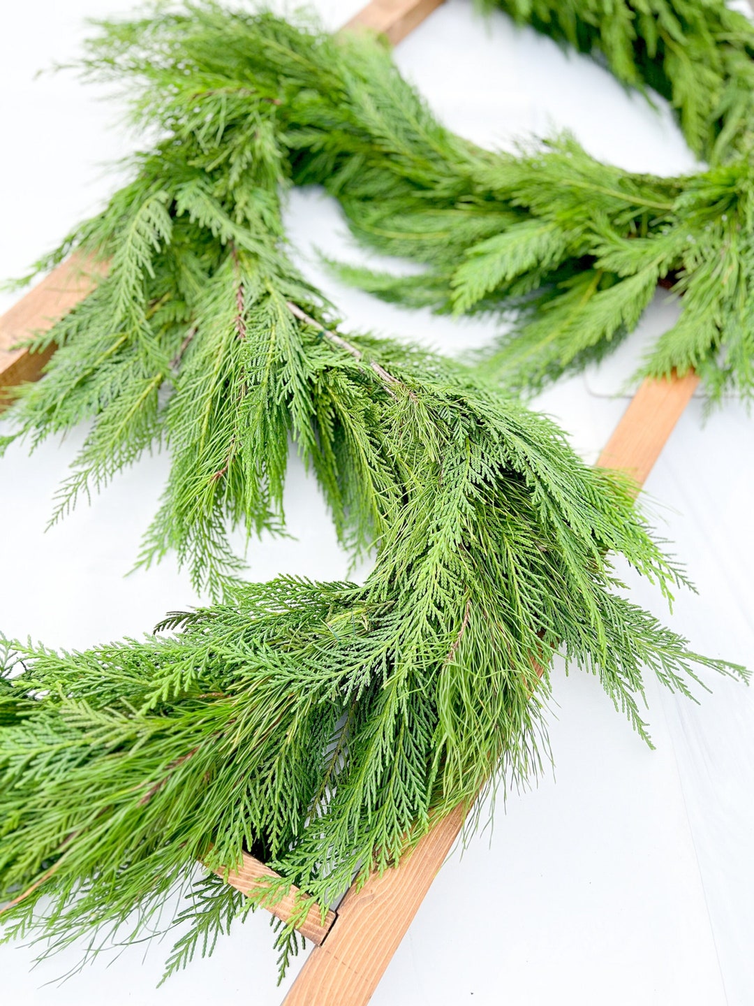 Leyland Cypress and Pine Garland Fresh Cypress and Pine Garland for