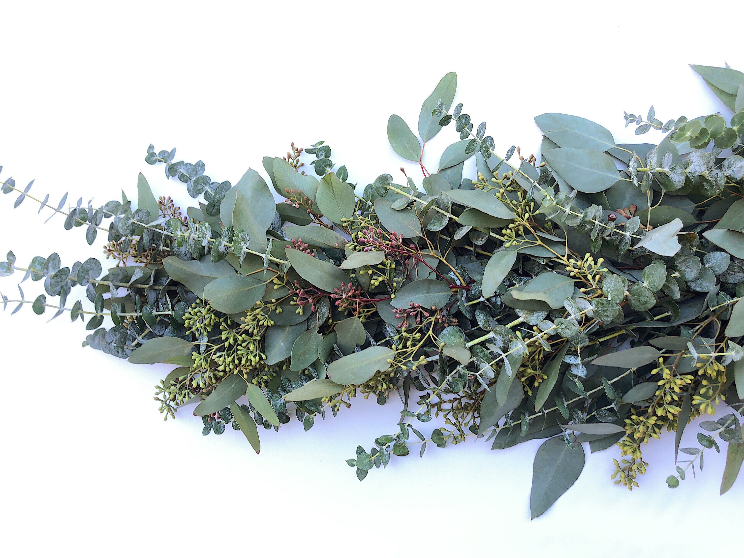 Fresh Eucalyptus Garland A Variety of Real Greenery Garland Etsy