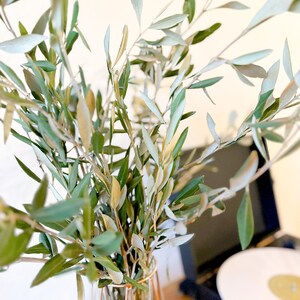 May include: A bouquet of olive branches in a gold geometric vase. The vase is on a wooden surface with a record player in the background.