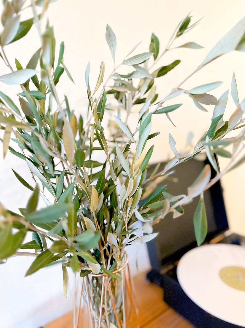 May include: A bouquet of olive branches in a gold geometric vase. The vase is on a wooden surface with a record player in the background.