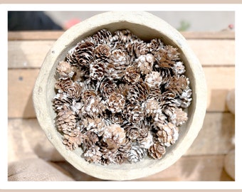 Mini Dried Natural Pinecone Frosted Decor Pieces, Pine Cones Natural Rustic Decor, Pinecone Christmas Cabin Decoration, Mini Pinecone Crafts