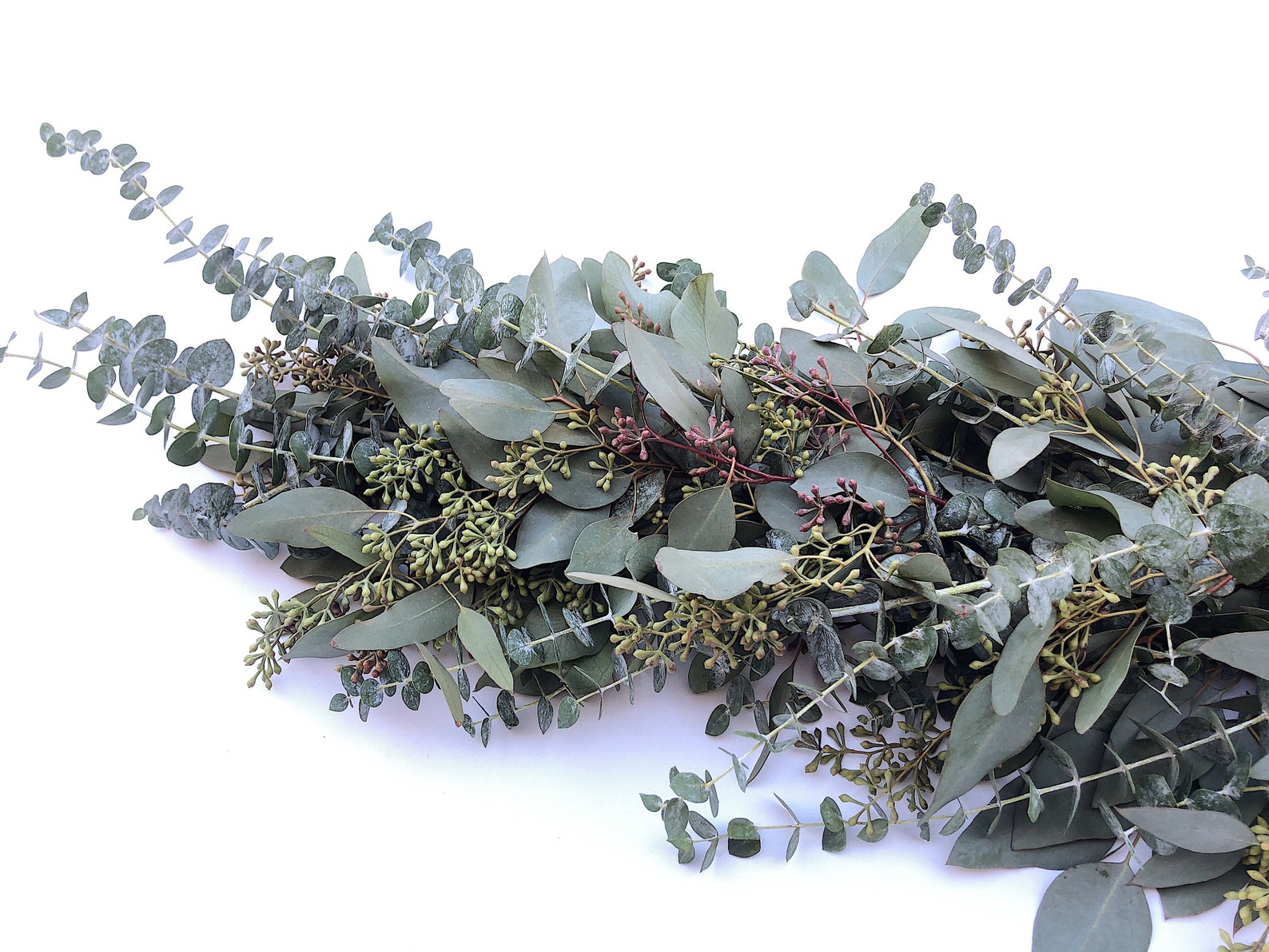 Fresh Eucalyptus Garland A Variety of Real Greenery Garland Etsy