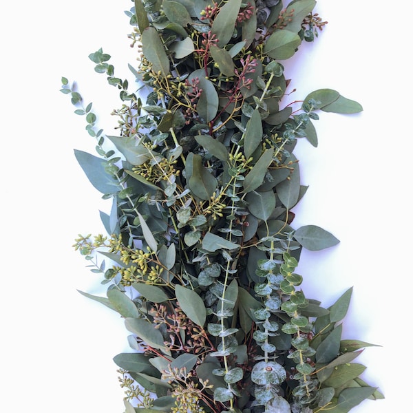 Seeded Eucalyptus Etsy