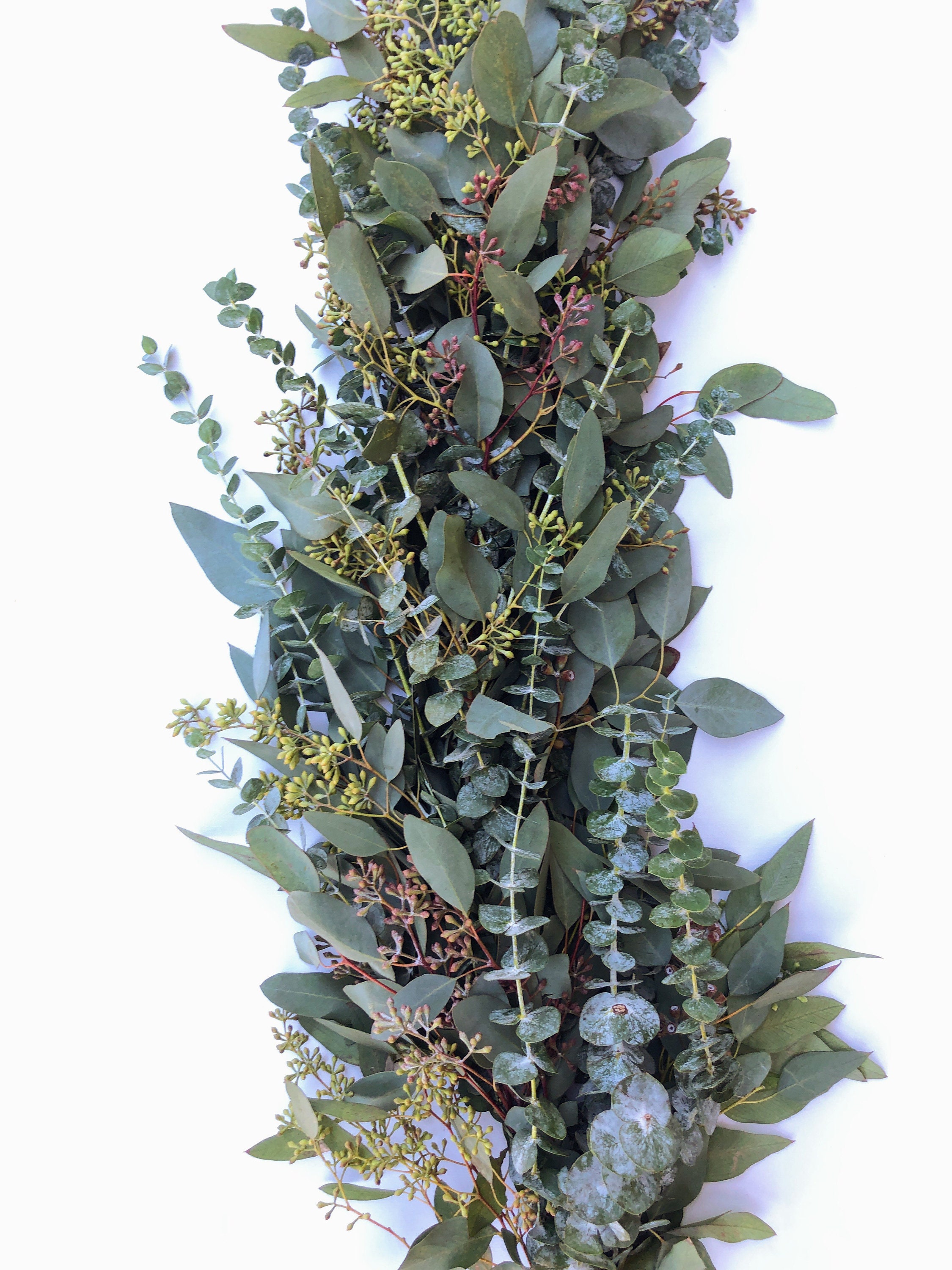 Fresh Eucalyptus Garland A Variety of Real Greenery Garland Etsy