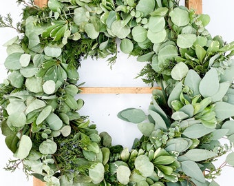 Fresh Eucalyptus & Silver Dollar Eucalyptus, Baby Blue Eucalyptus, Variegated Pitt, and Blueberry Cedar, Live Christmas Wreath Greenery