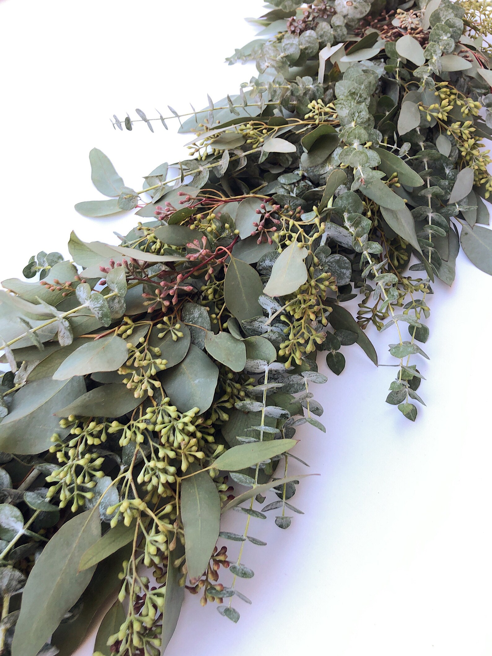 Fresh Eucalyptus Garland A Variety of Real Greenery Garland Etsy