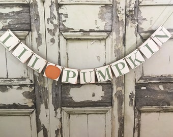 Little Pumpkin Baby Shower, Lil Pumpkin Banner, Autumn Baby Shower Decor, 1st Birthday Bunting, Lil Pumpkin Sign, Baby Shower Decorations