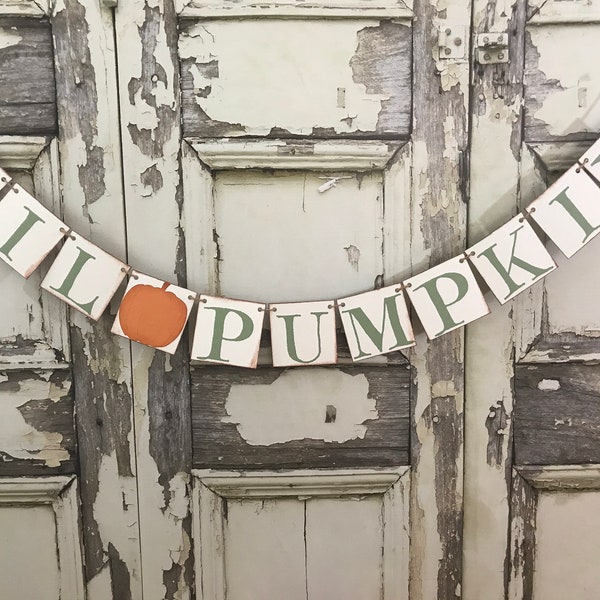 Little Pumpkin Baby Shower, Lil Pumpkin Banner, Autumn Baby Shower Decor, 1st Birthday Bunting, Lil Pumpkin Sign, Baby Shower Decorations