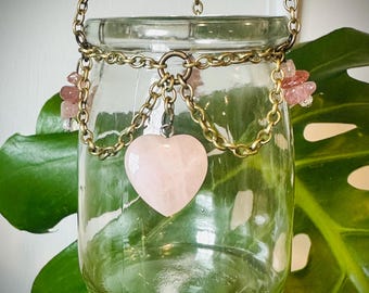 Love of Plants Propagation Jar