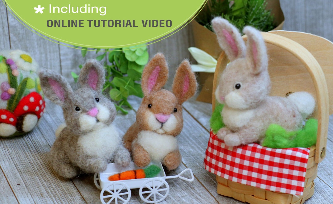 Easter Bunny Needle Felting Kit: DIY Craft for Beginner, Video Tutorial ...