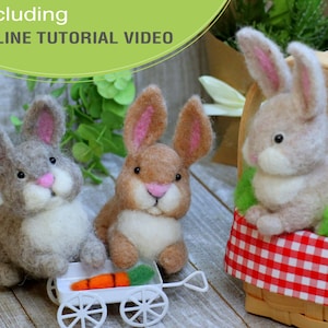 Easter Bunny Needle Felting Kit: DIY Craft for Beginner, Video Tutorial & Detailed Photo Instruction