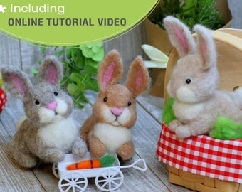 Easter Bunny Needle Felting Kit: DIY Craft for Beginner, Video Tutorial & Detailed Photo Instruction