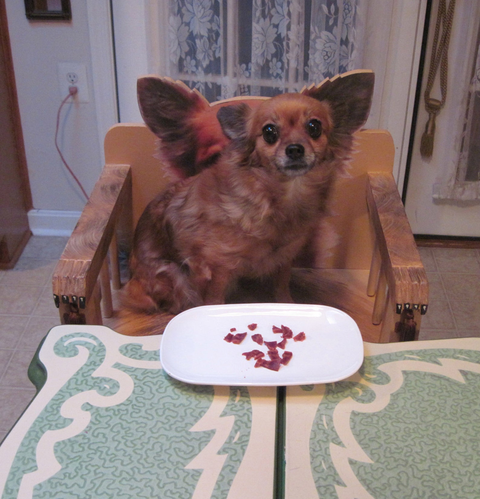 Dog High Chair Custom Made to Order With Your Dog on Back. Etsy