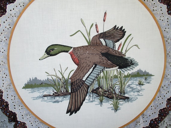 Aerosoles waterbird deals