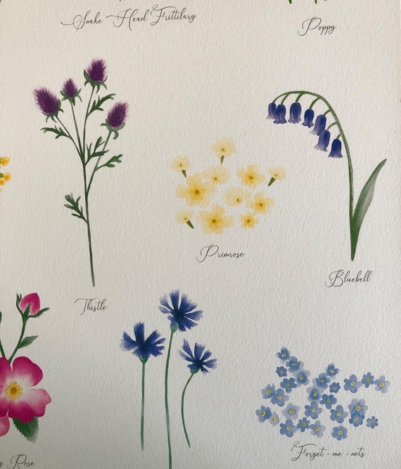 British Wild Flowers Print - Etsy